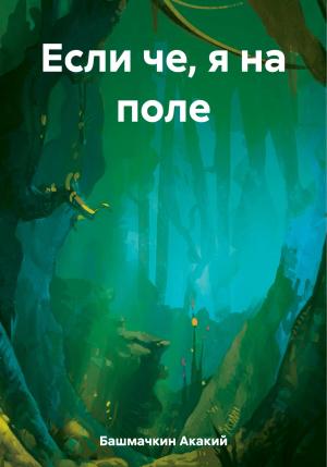 Обложка книги «Если че, я на поле» — Акакий Башмачкин