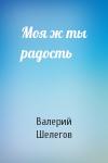 Валерий Шелегов - Моя ж ты радость