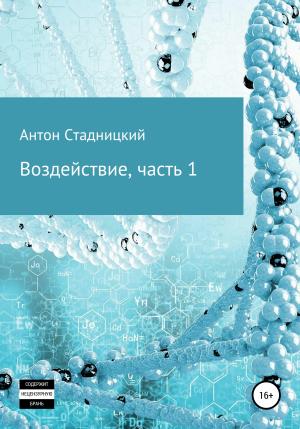 Обложка книги «Воздействие» — Антон Стадницкий