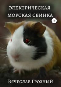 Вячеслав Грозный - Электрическая морская свинка