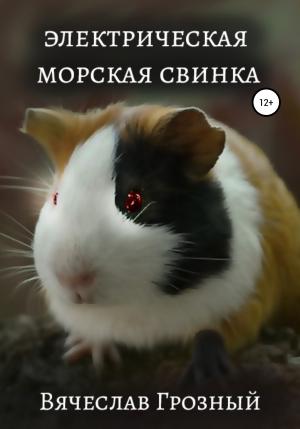 Обложка книги «Электрическая морская свинка» — Вячеслав Грозный