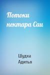 Шудха Адитья - Потоки нектара Саи
