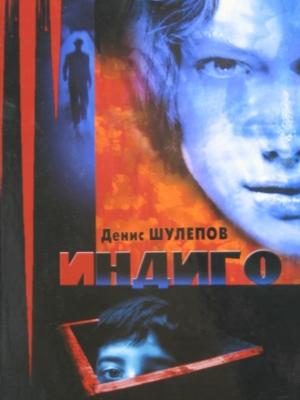 Обложка книги «Индиго» — Денис Шулепов