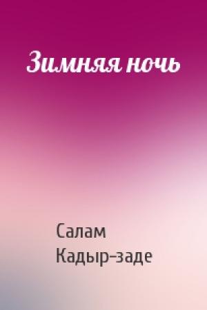 Обложка книги «Зимняя ночь» — Салам Кадыр-заде