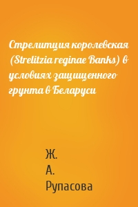 Стрелитция королевская (Strelitzia reginae Banks) в условиях защищенного грунта в Беларуси