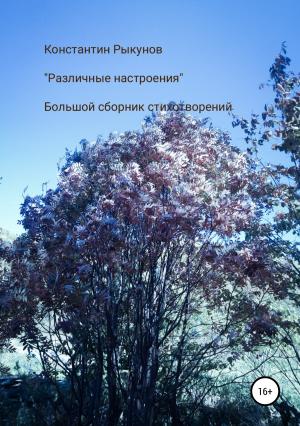 Обложка книги «Различные настроения» — Константин Рыкунов