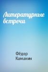 Фёдор Каманин - Литературные встречи