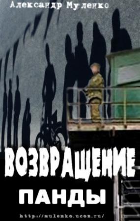 Обложка книги «Возвращение Панды» — Александр Муленко