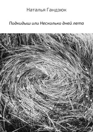 Обложка книги «Подкидыш, или Несколько дней лета» — Наталья Гандзюк