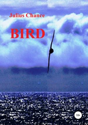 Обложка книги «Bird» — Julius Chance