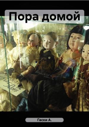Обложка книги «Пора домой» — А. Гаски