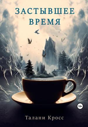 Обложка книги «Застывшее время» — Талани Кросс