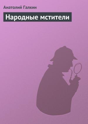 Обложка книги «Народные мстители» — Анатолий Галкин