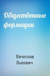 Вячеслав Львович - Общественные формации