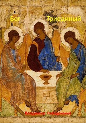 Обложка книги «Бог Триединый» — Владимир Небадонский