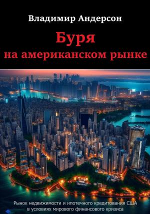 Обложка книги «Буря на американском рынке» — Владимир Андерсон