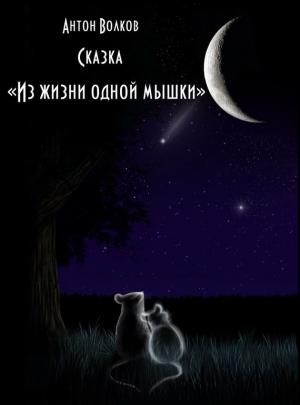 Обложка книги «Из жизни одной мышки» — Антон Волков