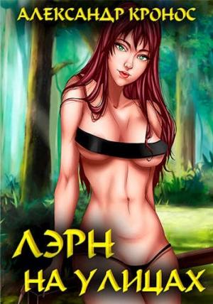 Обложка книги «Лэрн. На улицах» — Александр Кронос