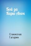 Станислав Гагарин - Бой за Кара-Агач