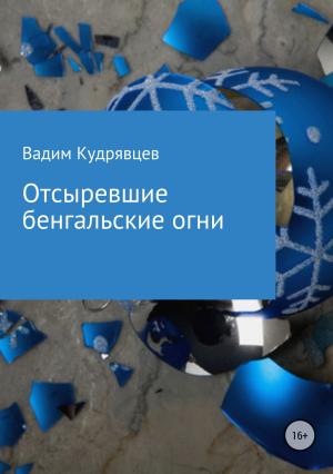 Обложка книги «Отсыревшие бенгальские огни» — Вадим Кудрявцев