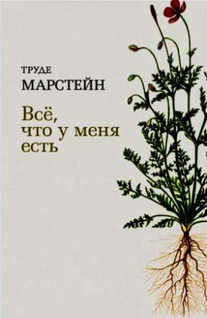 Обложка книги «Всё, что у меня есть» — Труде Марстейн