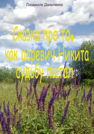 Обложка книги «Сказка про то, как царевич Никита судьбу пытал» — Людмила Даниленко