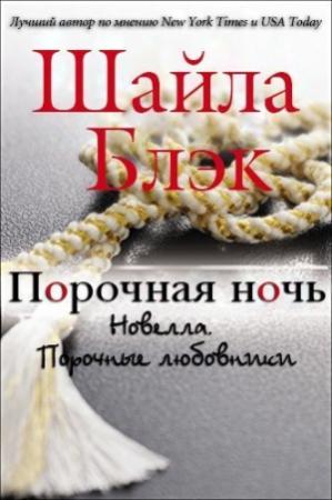 Обложка книги «Порочная ночь» — Шелли Брэдли