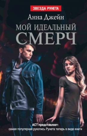 Обложка книги «Мой идеальный смерч» — Анна Джейн