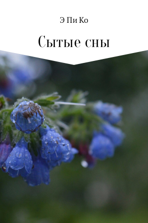 Обложка книги «Сытые сны» — Э Пи Ко