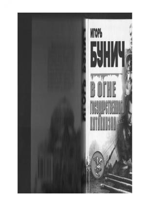 Обложка книги «В огне государственного катаклизма» — Игорь Львович Бунич