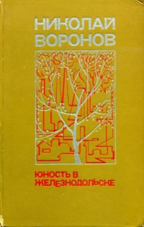 Обложка книги «Юность в Железнодольске» — Николай Воронов