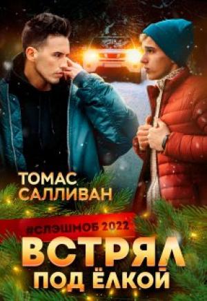 Обложка книги «Встрял под ёлкой» — Томас Салливан