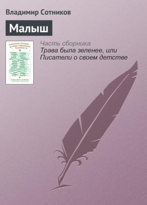 Обложка книги «Малыш» — Владимир Сотников
