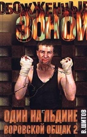 Обложка книги «Один на льдине» — Владимир Шитов
