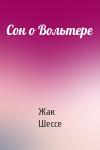 Жак Шессе - Сон о Вольтере