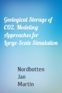 Geological Storage of CO2. Modeling Approaches for Large-Scale Simulation