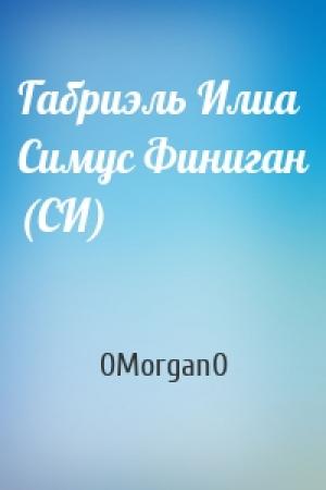 Обложка книги «Габриэль Илиа Симус Финиган (СИ)» — 0Morgan0