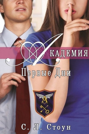 Обложка книги «Академия. Первые дни» — С. Стоун