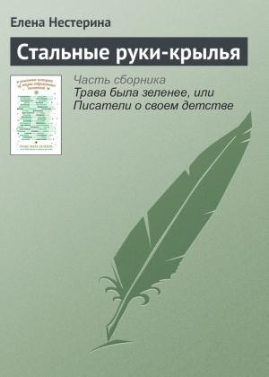 Обложка книги «Стальные руки-крылья» — Елена Нестерина