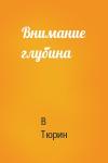 В Тюрин - Внимание глубина