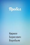 Кирилл Борисович Воробьев - Пробел