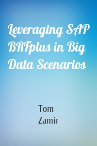Leveraging SAP BRFplus in Big Data Scenarios
