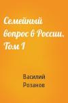Василий Васильевич Розанов - Семейный вопрос в России. Том I