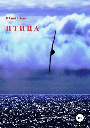 Обложка книги «Птица» — Юлий Шанс