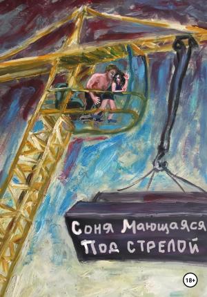 Обложка книги «Под стрелой» — Соня Мающаяся