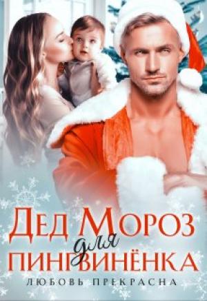 Обложка книги «Дед Мороз для пингвиненка» — Любовь Прекрасна