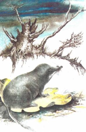 Обложка книги «Зверек с хоботком» — Бекболат Бексеитович Касабеков