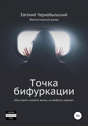 Обложка книги «Точка бифуркации» — Евгений Чернобыльский