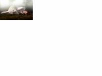 Дорога во сне