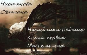 Обложка книги «Наследники Падших Книга первая Мы не ангелы» — Светлана Чистякова